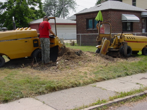 ./Gallery/2011 Bennet Lot Tree Removal/DSC06471.JPG